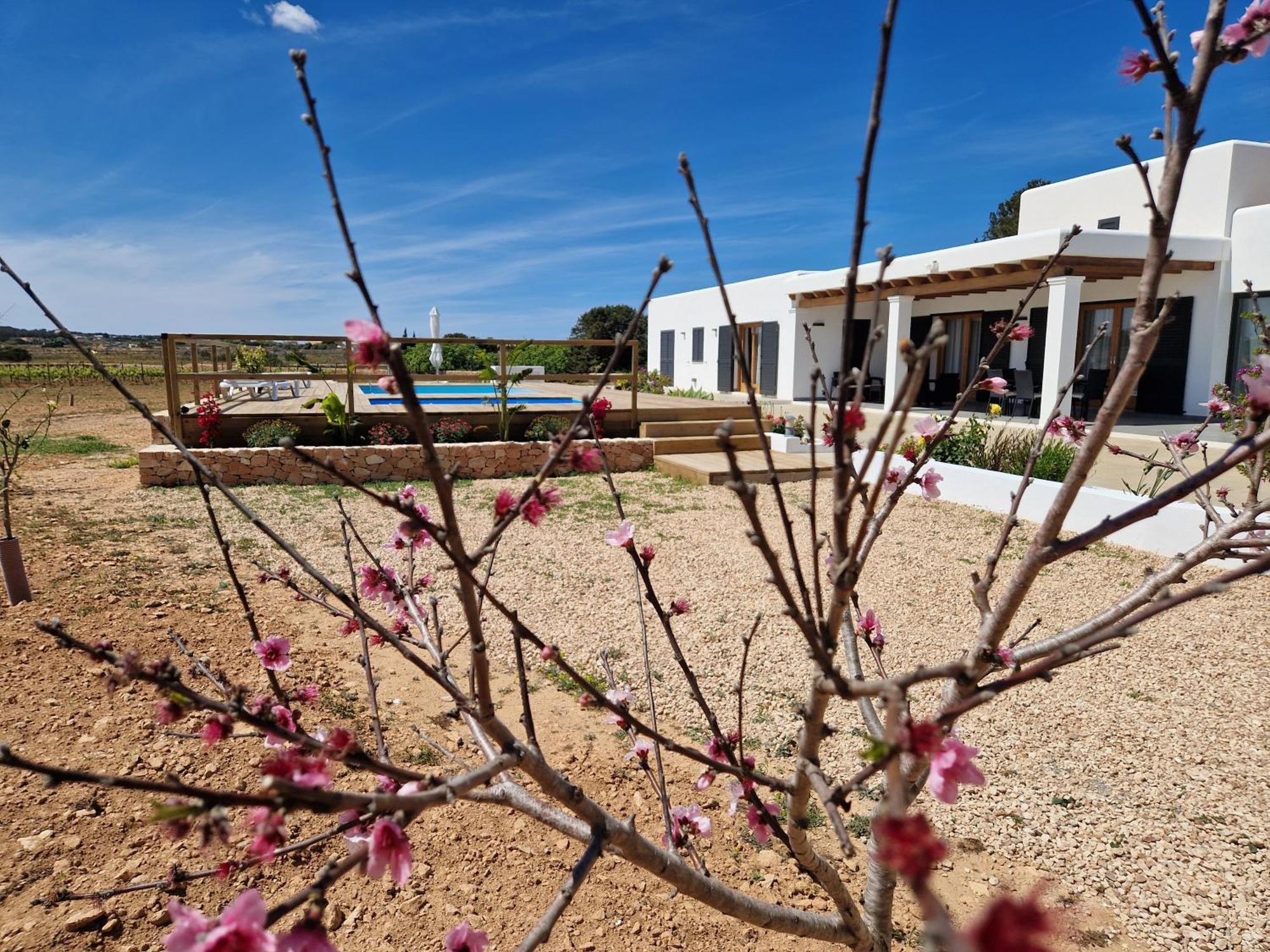 Vila Ses Vinas De Cas Baixero La Mola Exteriér fotografie